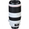 Canon EF 100-400mm f/4.5-5.6L IS II USM Lens - view 9